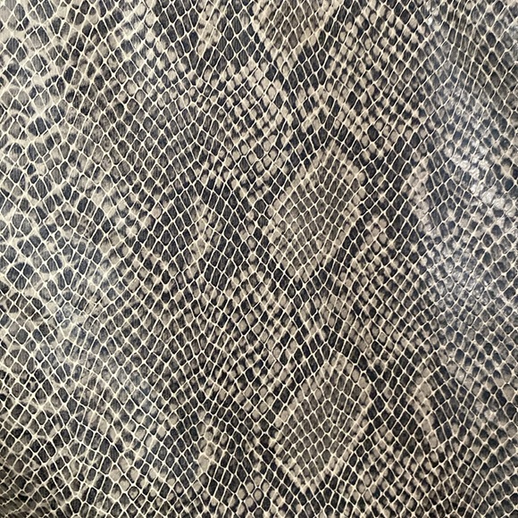 🌟LAST CHANCE 🌟 Snakeskin Vinyl Skirt - Picture 2 of 6